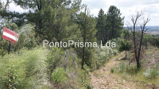 Terreno em Castelo Branco · 35 750 m² · 19 000 €