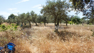 Land for sale in Penamacor, Portugal — €11,000