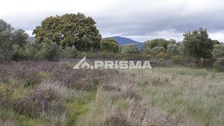 Land for sale in Idanha-a-Nova, Portugal — €36,000