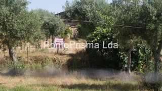 Terreno de 1800 m² em Castelo Branco
