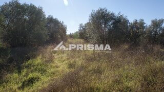Terreno de 80 899 m² em Castelo Branco