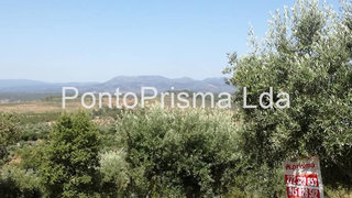 Terreno de 2560 m² em Castelo Branco