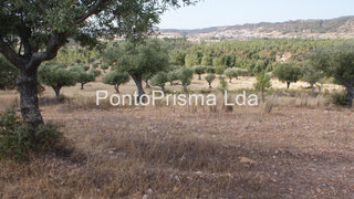 Land for sale in Nisa, Portugal — €32,000