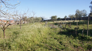 Terreno de 2308 m² em Castelo Branco