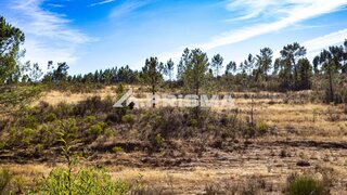 Terreno de 18 920 m² em Castelo Branco