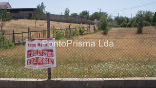 Land for sale in Proença-a-Nova, Portugal