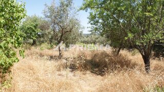 Land for sale in Castelo Branco, Portugal — €47,500