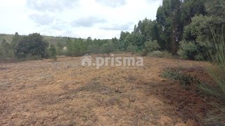 Terreno de 3560 m² em Castelo Branco