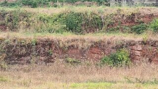 Land for sale in Coimbra, Portugal — €560,000