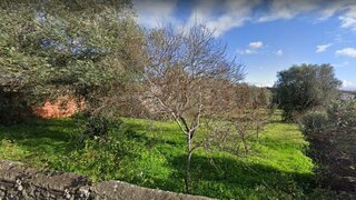 Terreno de 4250 m² em Coimbra