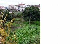 Terreno de 1490 m² em Coimbra