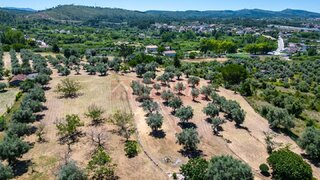 Terreno em Coimbra · 19 m² · 1 350 000 €