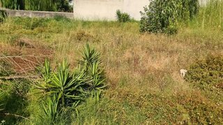 Terreno de 415 m² em Coimbra