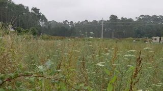 Land for sale in Ílhavo, Portugal — €33,000