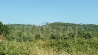 Land for sale in Miranda do Corvo, Portugal — €37,500