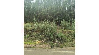 Land for sale in Mealhada, Portugal — €41,000