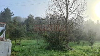 Land for sale in Coimbra, Portugal — €250,000