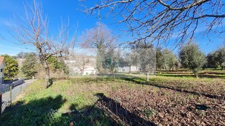 Terreno de 6 m² em Viseu