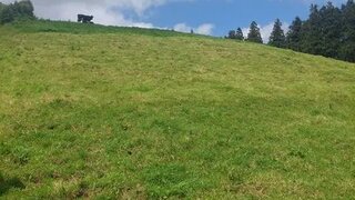 Land for sale in Vila Franca do Campo, Portugal — €30,000