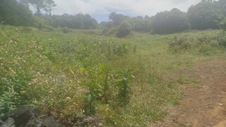 Land for sale in São Roque do Pico, Portugal — €60,000