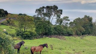 Land for sale in Lajes do Pico, Portugal — €500,000