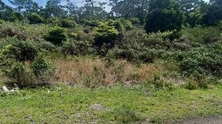 Land for sale in São Roque do Pico, Portugal — €60,000