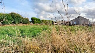 Land for sale in Praia da Vitória, Portugal — €49,000