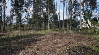 Land for sale in Albergaria-a-Velha, Portugal — €65,000