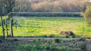 Terreno de 5000 m² em Aveiro