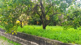 Terreno de 1140 m² em Aveiro