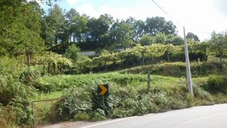 Terreno em Arcos de Valdevez · 4200 m² · 30 000 €