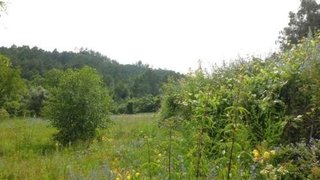Land for sale in Arcos de Valdevez, Portugal — €29,000