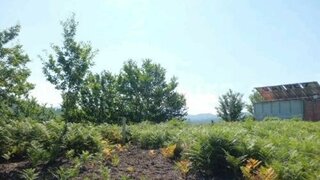 Land for sale in Arcos de Valdevez, Portugal — €36,000