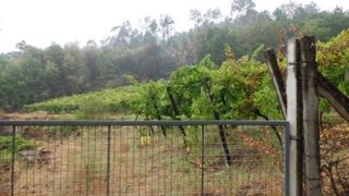 Terreno para venda em Arcos de Valdevez, Portugal — 115 000 €