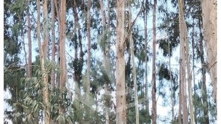 Land for sale in Oliveira do Bairro, Portugal — €20,000