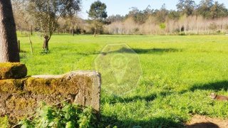Land for sale in Águeda, Portugal — €60,000