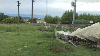 Terreno em Oliveira do Bairro