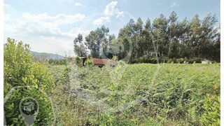 Land for sale in Vouzela, Portugal — €29,000