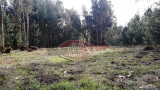 Land for sale in Oliveira do Bairro, Portugal — €42,500