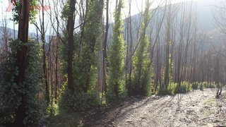 Land for sale in Arouca, Portugal — €30,000