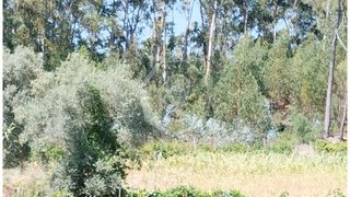 Land for sale in Oliveira do Bairro, Portugal — €25,000