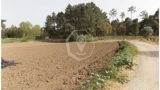 Land for sale in Oliveira do Bairro, Portugal — €160,000