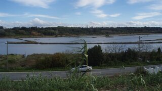 Land for sale in Vagos, Portugal — €150,000