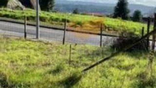 Land for sale in Braga, Portugal — €65,000