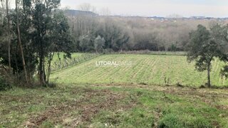 Terreno de 4000 m² em Aveiro