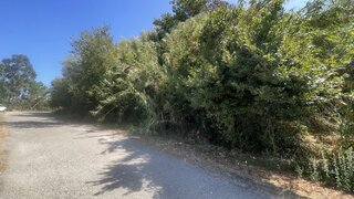 Land for sale in Oliveira do Bairro, Portugal — €75,000