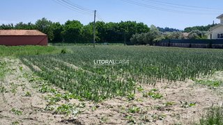 Land for sale in Oliveira do Bairro, Portugal — €79,000