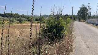 Land for sale in Águeda, Portugal — €29,000