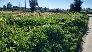 Land for sale in Aveiro, Portugal — €99,500