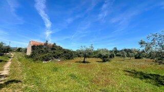 Land for sale in Fundão, Portugal — €25,000